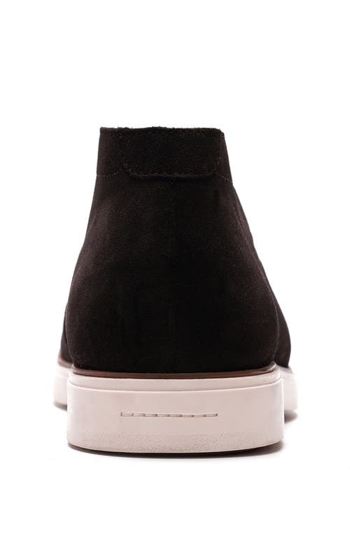 Carlos Santana Joplin Laceless Chukka