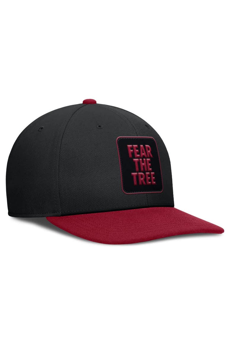Men's Nike Black/Cardinal Stanford Cardinal 2025 Sideline Campus Pro Local Snapback Hat, Alternate, color, Black