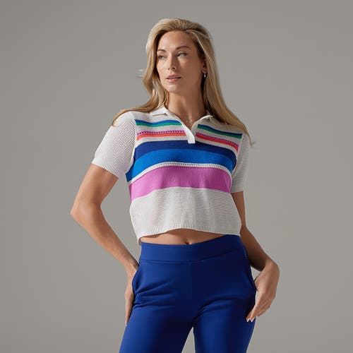 Tavi Prep Polo Sweater In Multi
