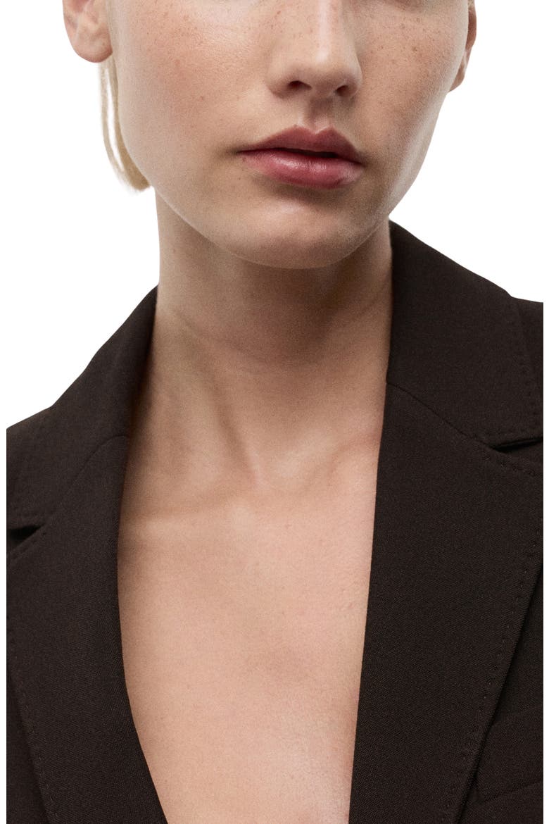 Straight Fit Blazer, Alternate, color, CHOCOLATE