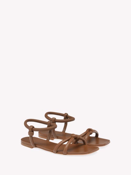 Gianvito Rossi Flat Sole Knotted Straps Sandals In Brown