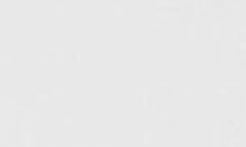 ROSELLI TRADING COMPANY ROSELLI TRADING COMPANY HOUSTON STREET STORAGE BOX