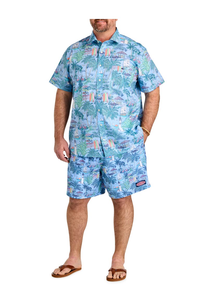 Big & Tall Scenic Chappy Swim Trunks, Alternate, color, KEYS TOUCAN
