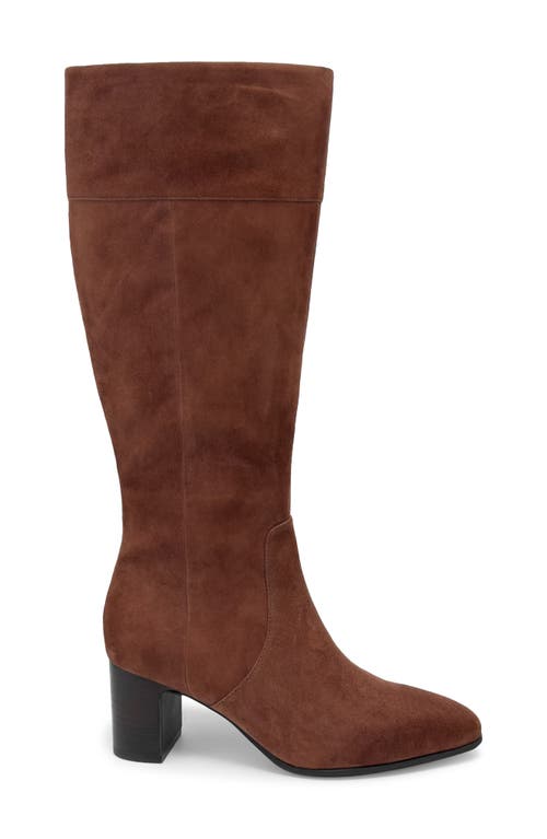 Aerosoles Minerva Knee High Boot In Brown