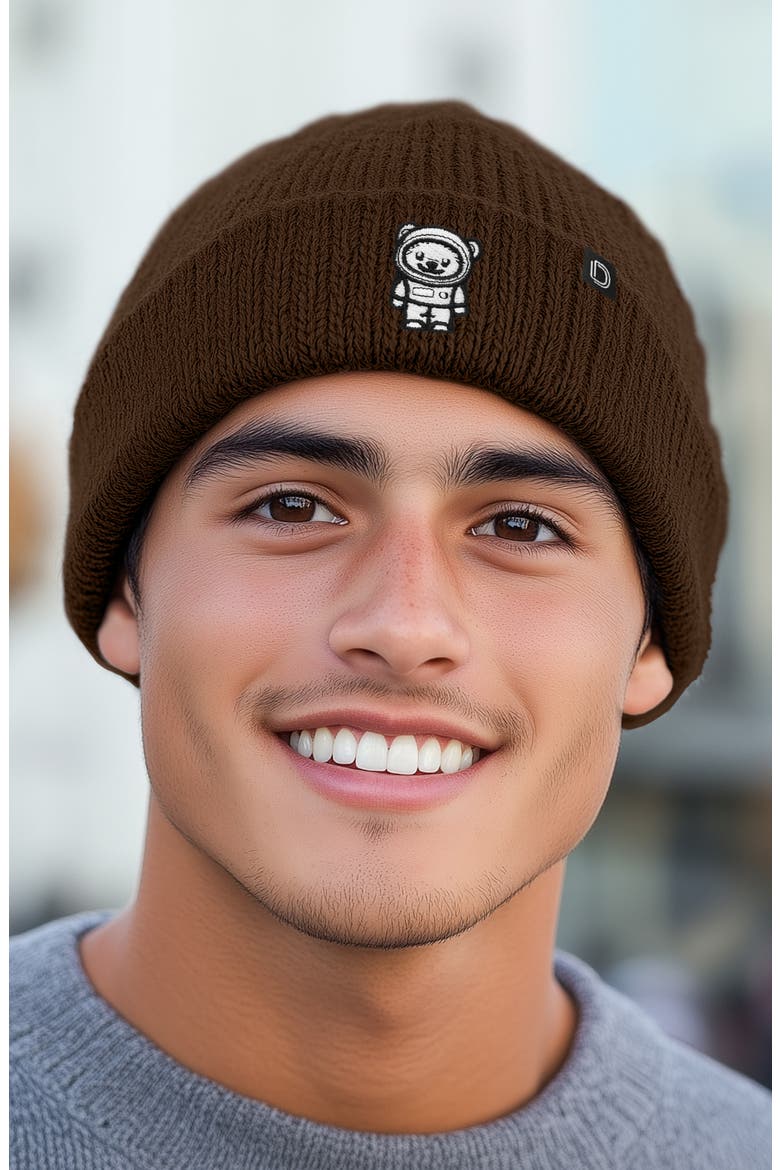 Ice Bear Beanie, Alternate, color, Brown