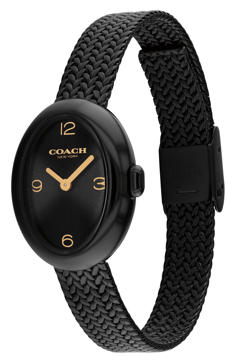COACH Sammy Mesh Strap Watch, 22.5mm, Alternate, color, Black