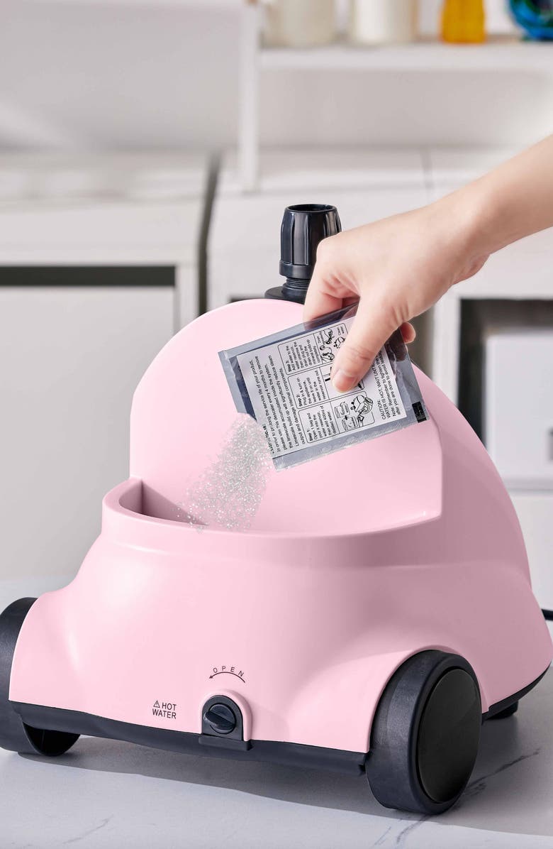 SALAV 10-Pack Garment Steamer Descaling Solution Decalcifier Packets, Alternate, color, White