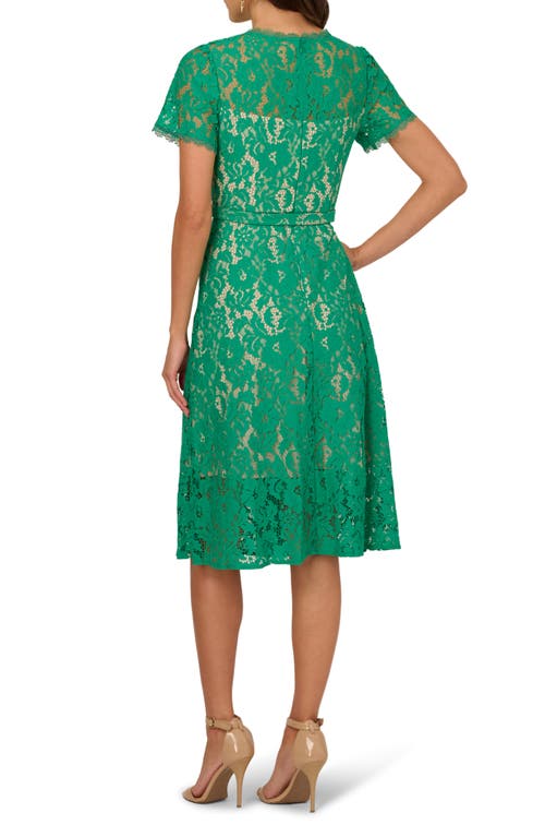 ADRIANNA PAPELL ADRIANNA PAPELL SHORT SLEEVE BELTED LACE MIDI DRESS