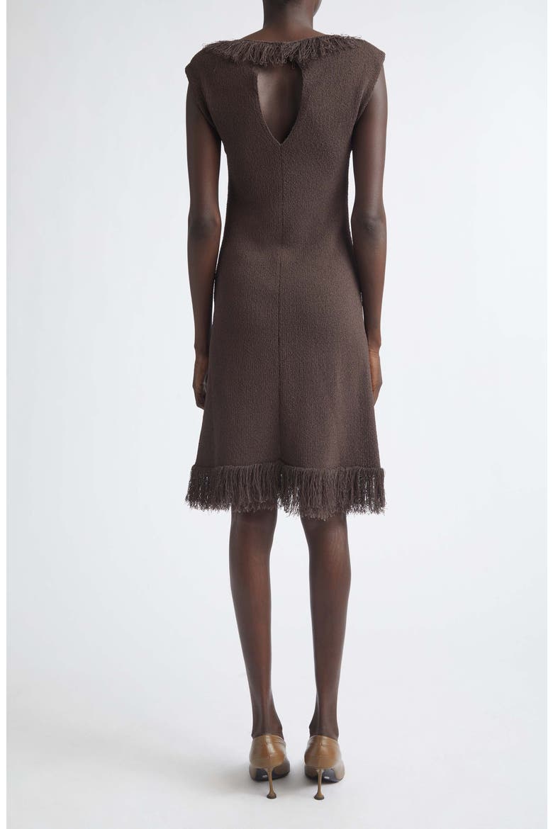 Saski Textured Fringe Sweater Dress, Alternate, color, EARTH