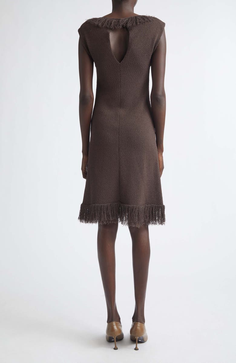 Proenza Schouler Saski Textured Fringe Sweater Dress, Alternate, color, Earth