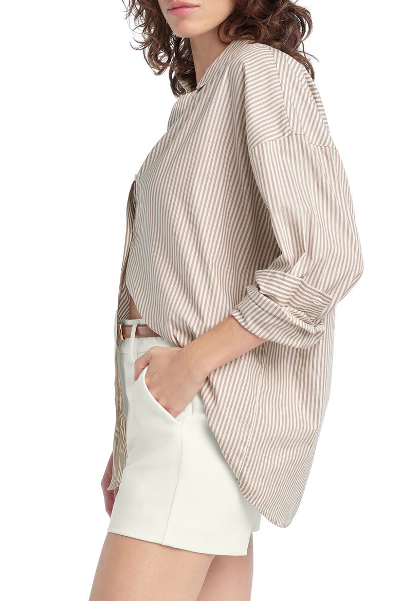 Ex Boyfriend Oversize Button-Up Shirt, Alternate, color, SOFT TAUPE STRIPE