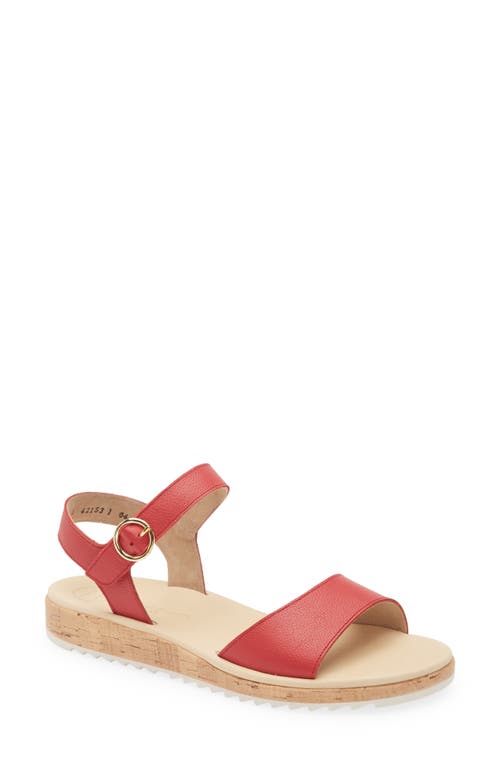Paul Green Tippi Ankle Strap Platform Wedge Sandal In Salsa Leather
