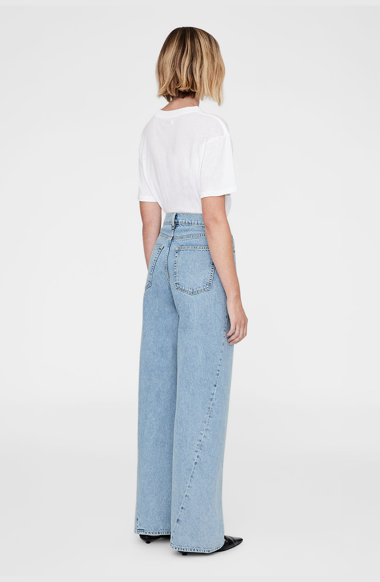 ANINE BING Lili Burnout Tee, Alternate, color, Burnout