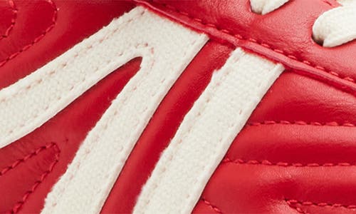 Shop Steve Madden Madrid Low Top Sneaker