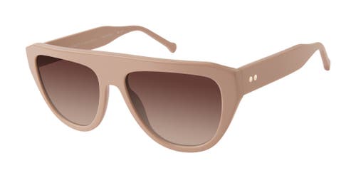 Colors In Optics Drew Sunglasses In Taupe