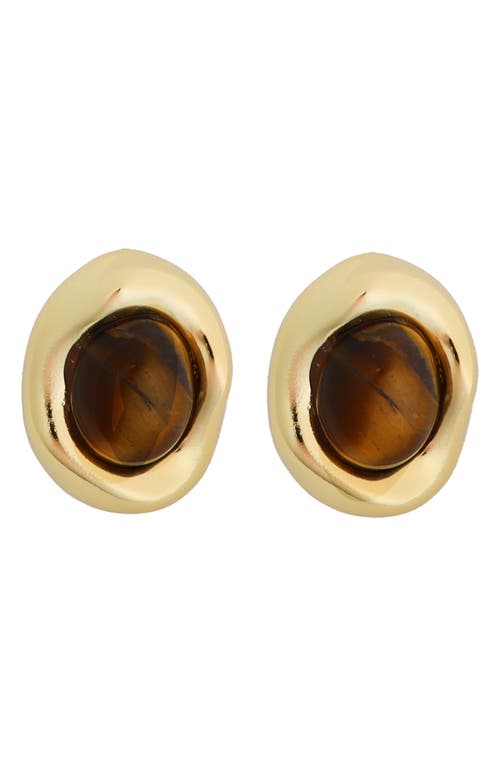 Panacea Tiger's Eye Stud Earrings In Gold