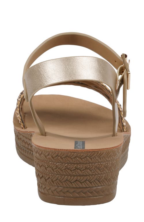 Gc Shoes Faye Ankle Strap Sandal In Gold