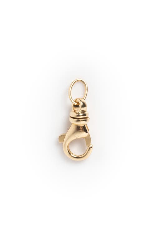 Local Eclectic Solid Gold Lobster Charm Clip In Gold