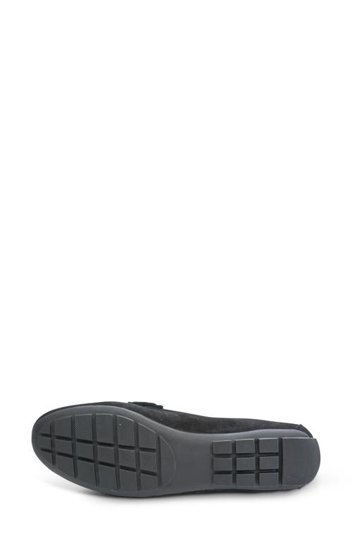 Vaneli Aiker Driving Loafer In Black Suede