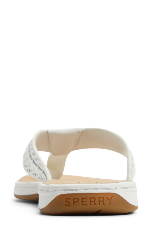 SPERRY SPERRY SEAFISH 3 PERFORATED FLIP FLOP
