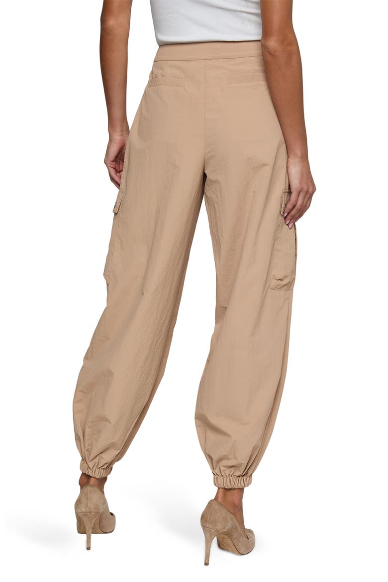 Greer Cargo Jogger Pants, Alternate, color, PRALINE