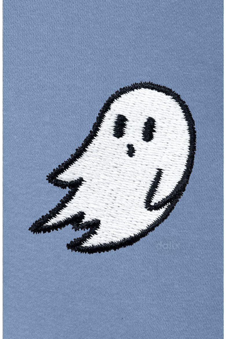 Ghost Midweight All Day Hoodie, Alternate, color, Colony Blue