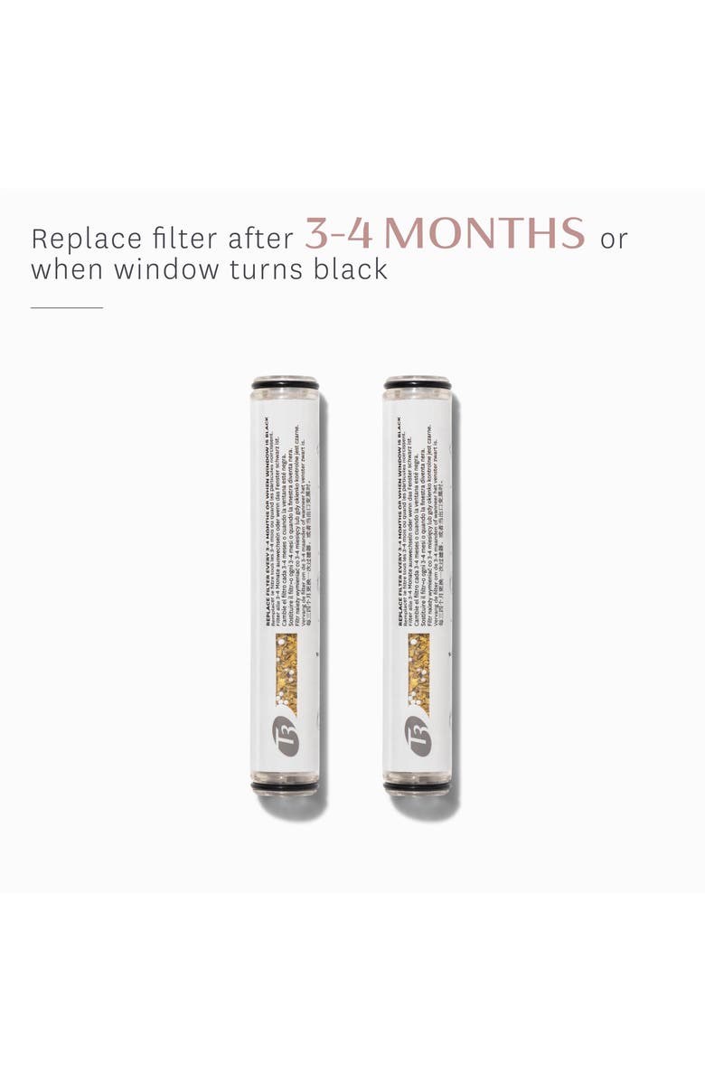 T3 Source 2-Pack Hand-Held Replacement Filter, Alternate, color,