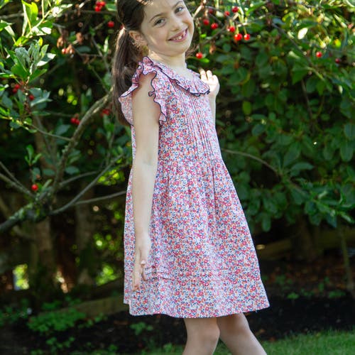 Beet World Girls Ana Dress With Ruffles In Red And Blue
