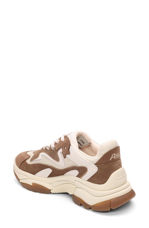 Ash Addict Sneakers In Taupe Suede And Fabric In Brown