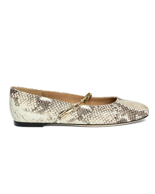 Allegra James Luna Chain Flat in Snake 