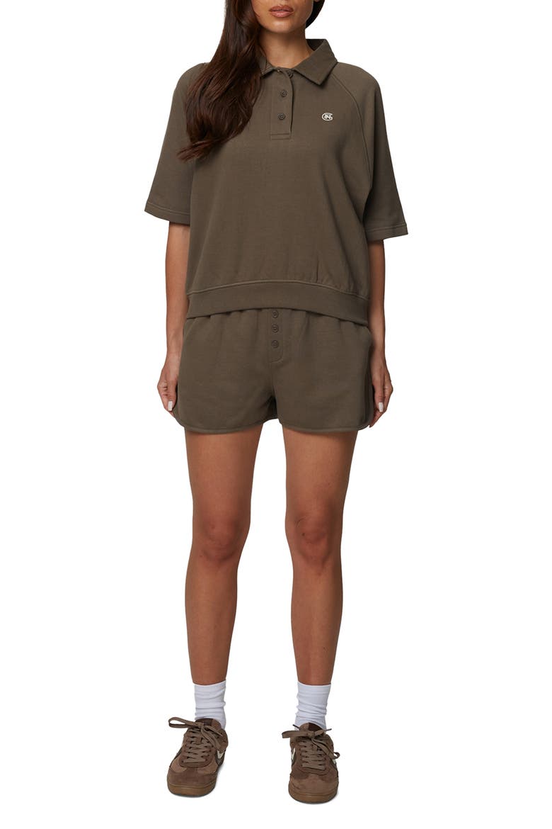 Boxy-Fit Raglan Sweat Polo, Alternate, color, Brown