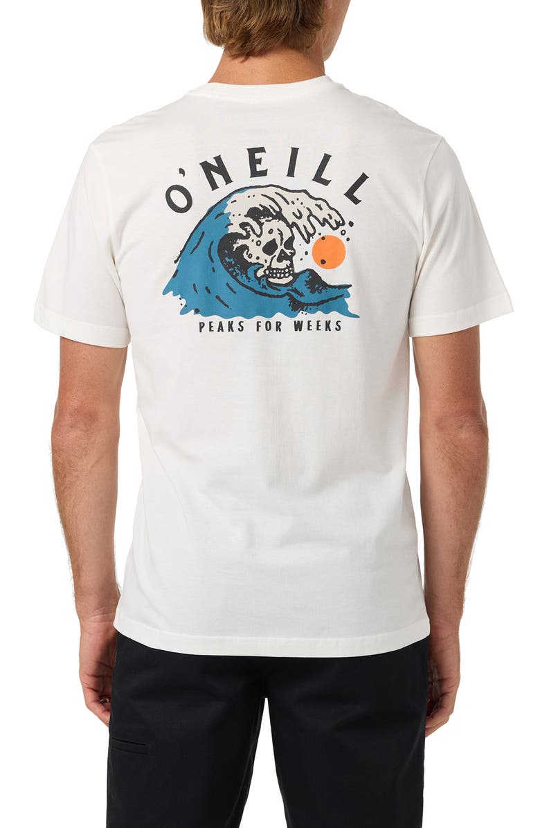 O'Neill Sesh Classic Graphic T-Shirt, Alternate, color, 