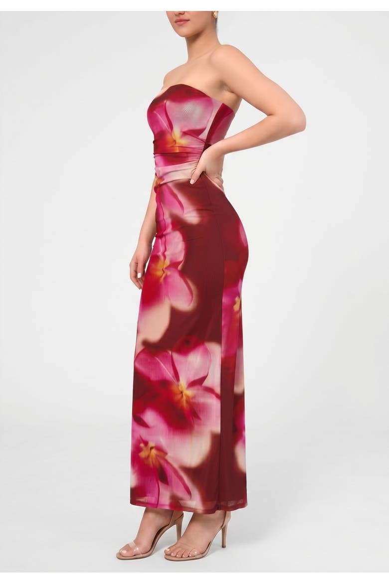 Isola Strapless Mesh Maxi Dress, Alternate, color, Dark Red