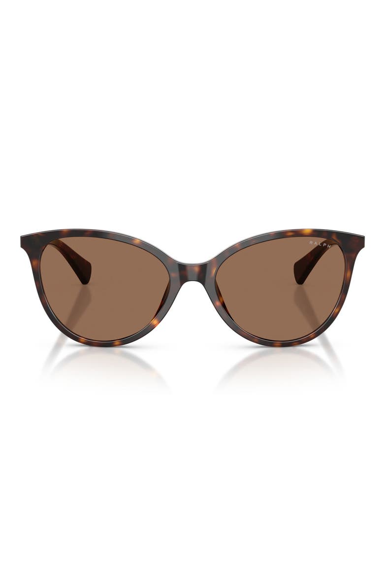 57mm Phantos Sunglasses, Main, color, DARK HAVANA / BROWN