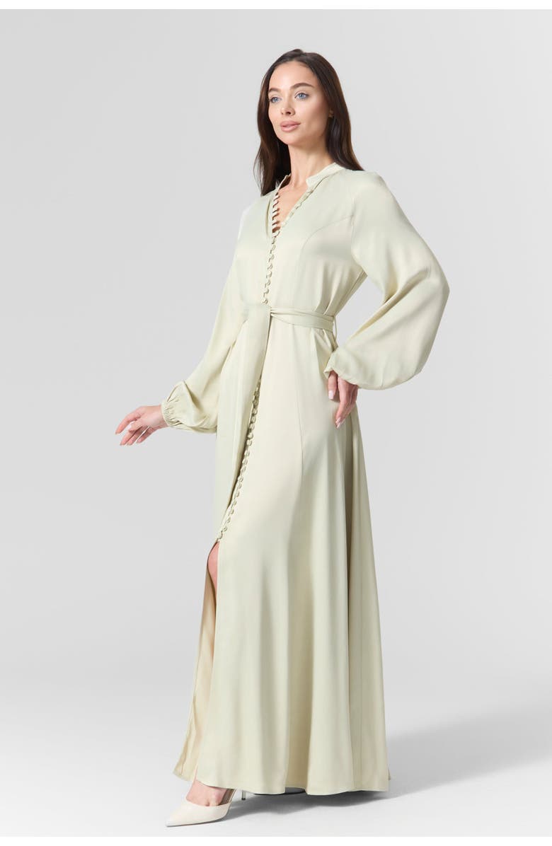 Le Fafo Silk Belted Maxi Dress, Alternate, color, Mint Green