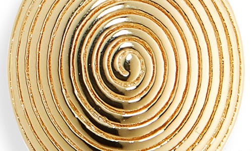 Lie Studio Lié Studio The Ruby Drop Earrings In Gold