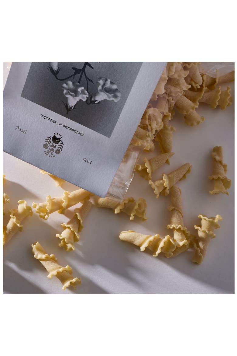 Angel Trumpets Organic Pasta, Alternate, color, BEIGE