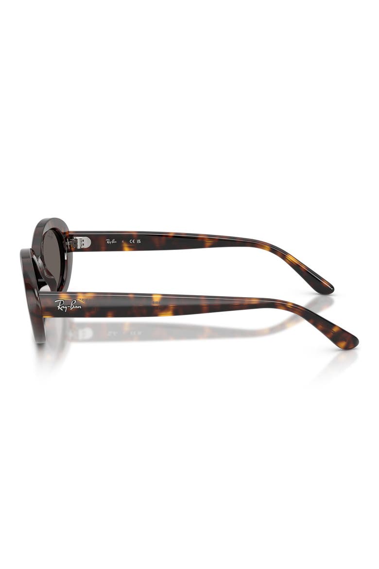 Oval Sunglasses, Alternate, color, HAVANA / DARK GREY