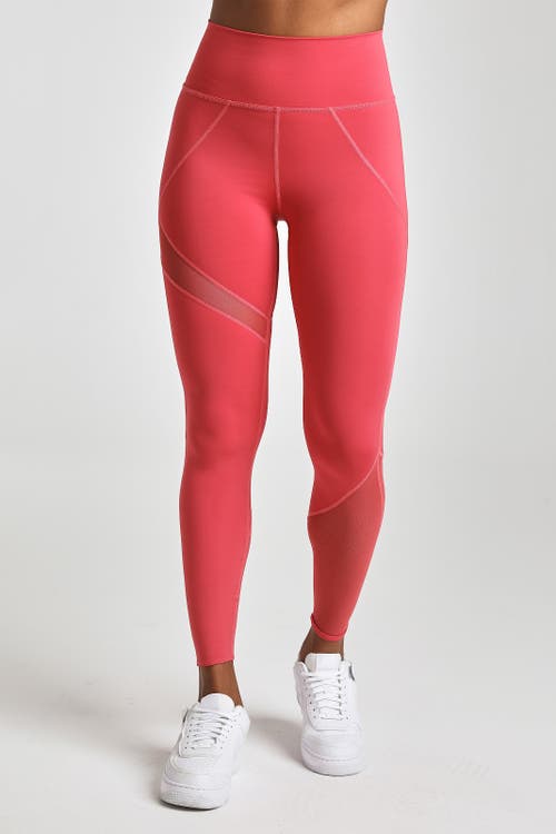 Shop Losano Mesh Panel Legging In Vintage Rose
