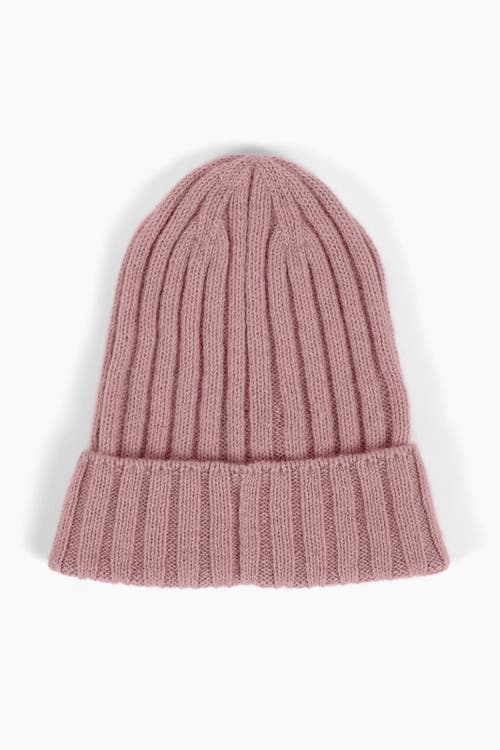 Sskein Ribbed Beanie In Cameo Pink
