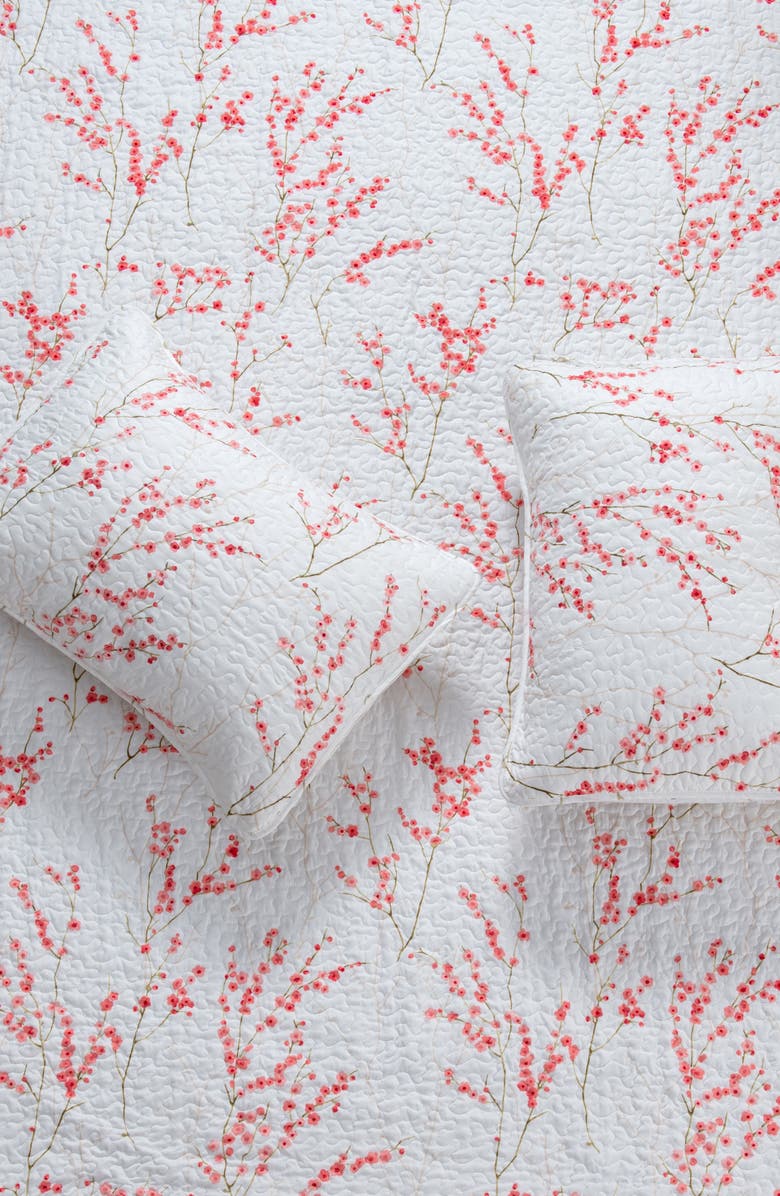 Woven & Weft Coastal 3-Piece Quilt Set, Alternate, color,