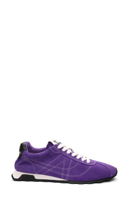 Ash Kill Bill Sneaker In Purple