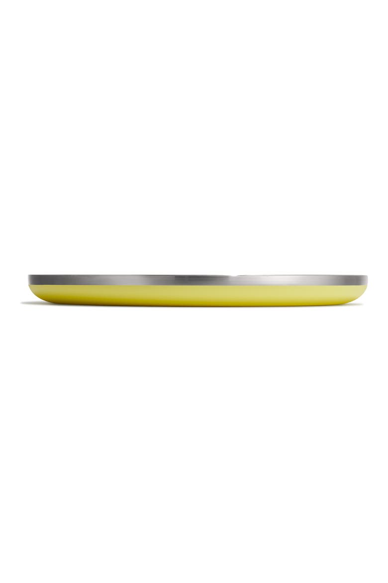 Stainless Steel Plate, Alternate, color, CACTUS