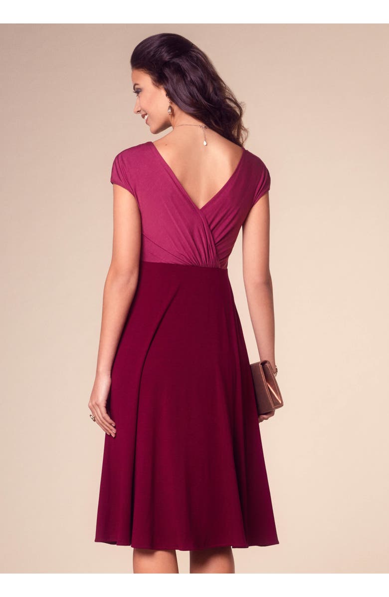 Tiffany Rose Maternity Alessandra Maternity Dress, Alternate, color, Rosey Red