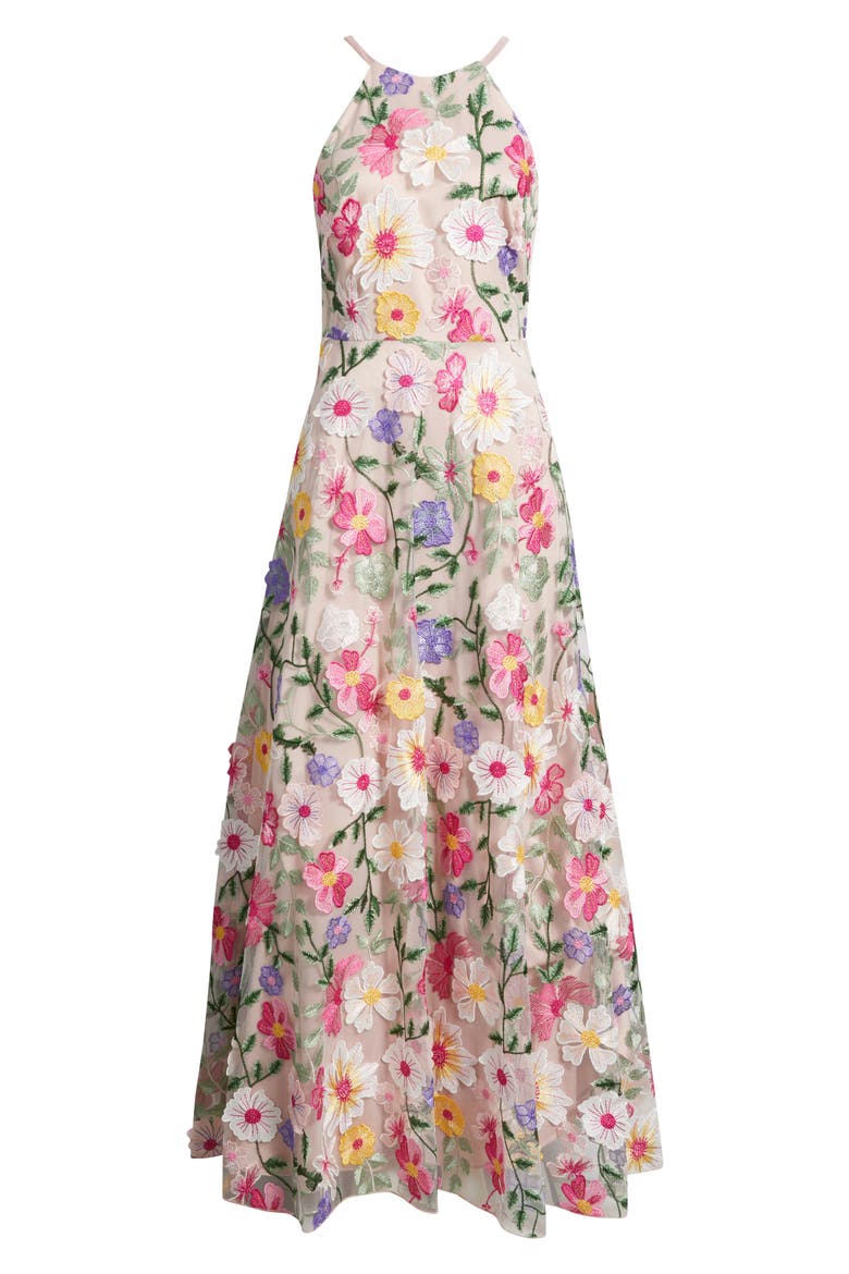 Embroidered Sleeveless Gown, Alternate, color, BLUSH MULTI