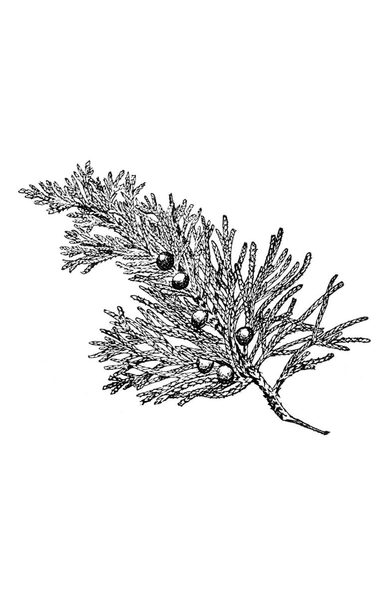 AMOUAGE Reflection Eau de Parfum, Alternate, color, 