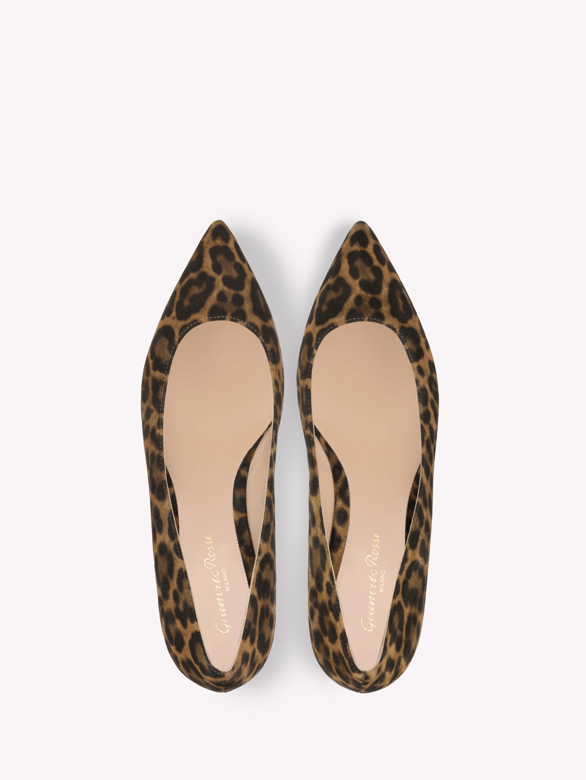 Gianvito Rossi Gianvito Flat, Alternate, color, Leopard Print Suede