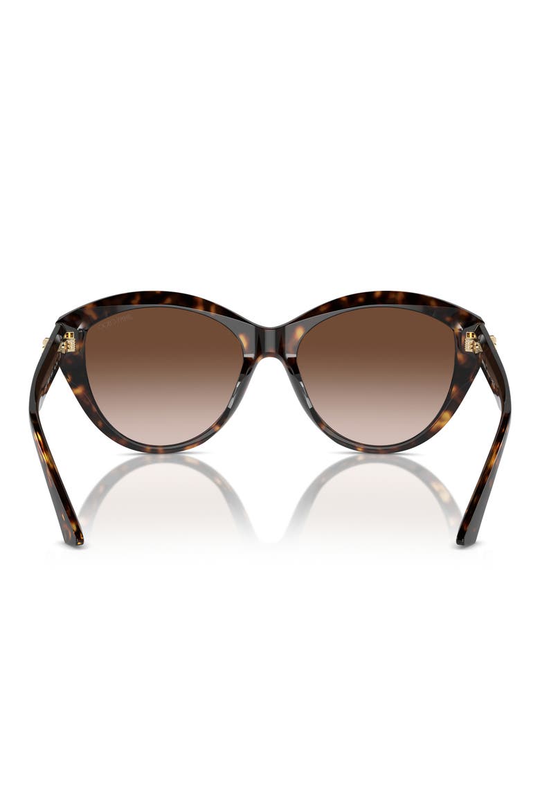 55mm Gradient Phantos Sunglasses, Alternate, color, HAVANA / GRADIENT BROWN