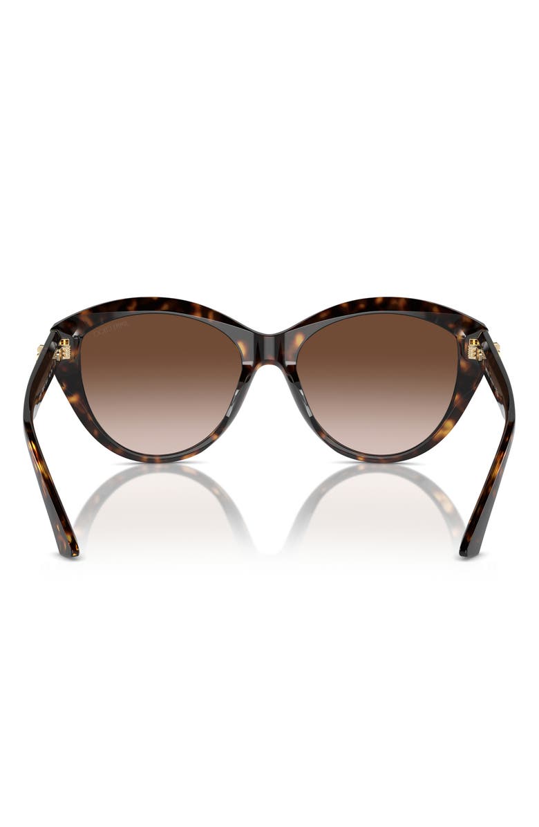Jimmy Choo 55mm Gradient Phantos Sunglasses, Alternate, color, Havana / Gradient Brown