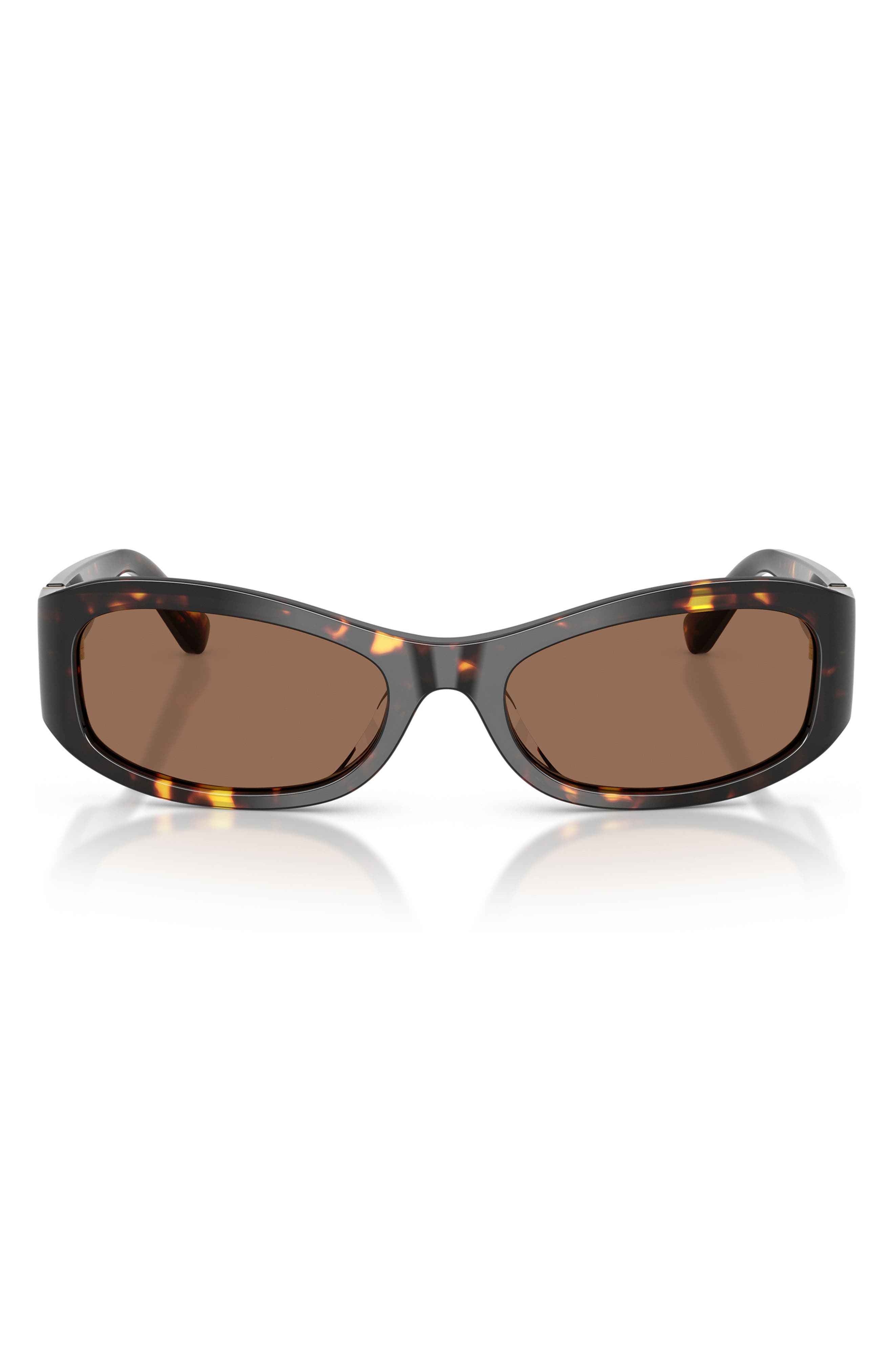 BROWN TORTOISE / BROWN